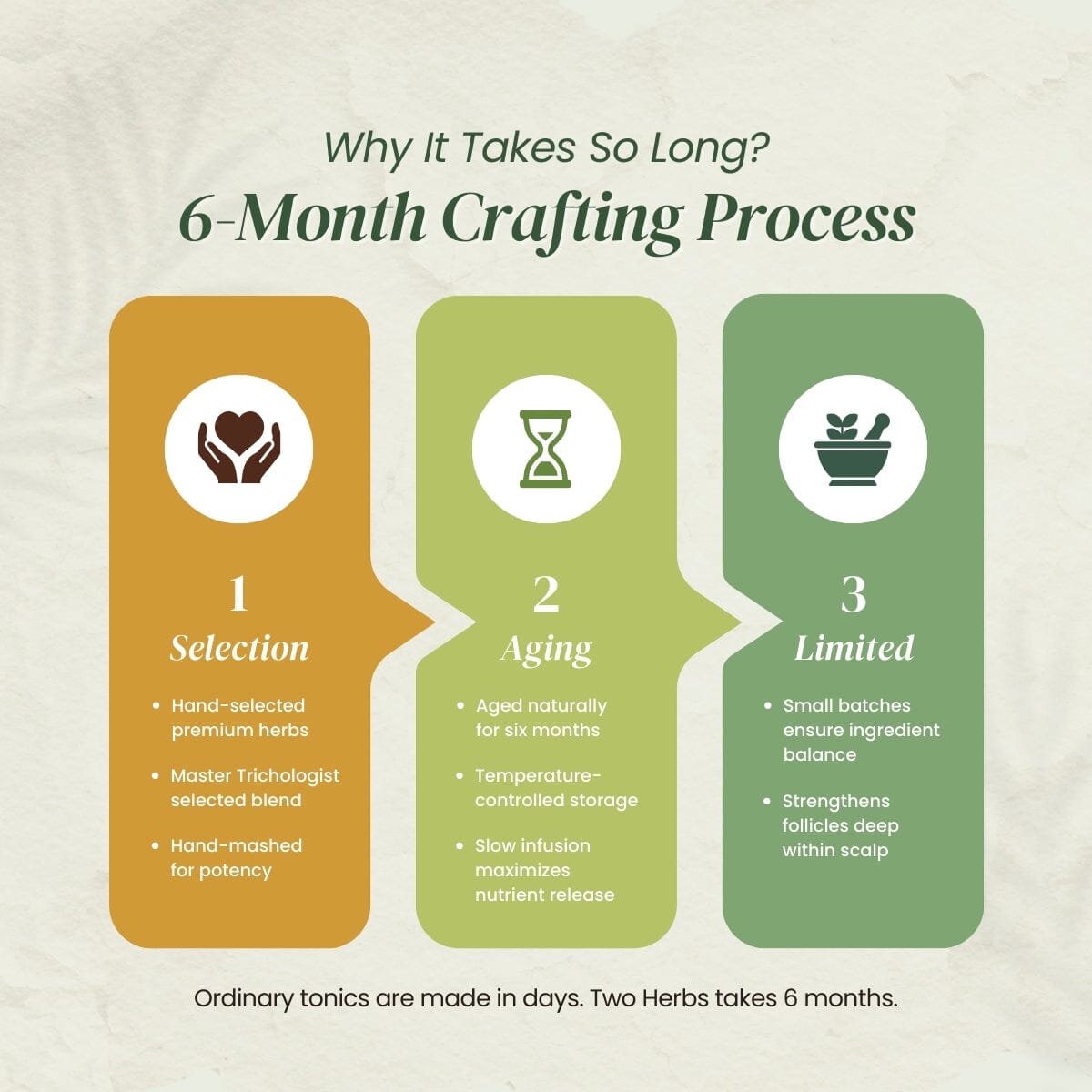 Herbal Hair+ Scalp Tonic | Best Natural Hair Growth Tonic - TwoHerbs