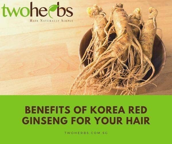 Benefit Of Ginseng On Your Scalp - TwoHerbs