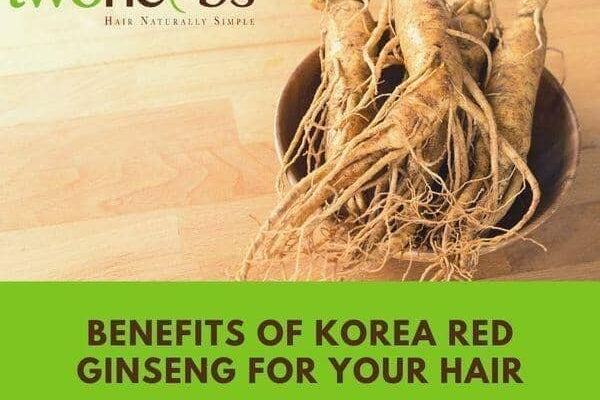 Benefit Of Ginseng On Your Scalp - TwoHerbs