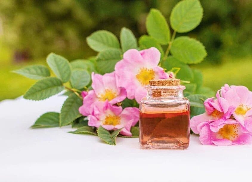 Rosehip Oil For Hair Health: 5 Must-Read Secrets - TwoHerbs