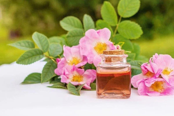 Rosehip Oil For Hair Health: 5 Must-Read Secrets - TwoHerbs