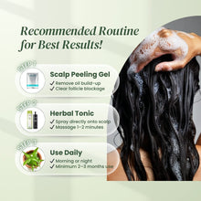 Load image into Gallery viewer, Herbal Hair+ Scalp Tonic | Best Natural Hair Growth Tonic - TwoHerbs
