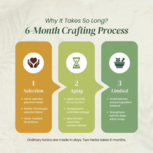 Load image into Gallery viewer, Herbal Hair+ Scalp Tonic | Best Natural Hair Growth Tonic - TwoHerbs
